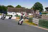 White Bikes